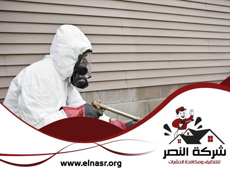 شركة مكافحة حشرات في العين