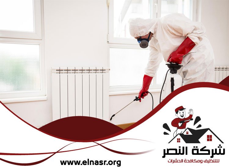 شركة مكافحة حشرات في ابوظبي