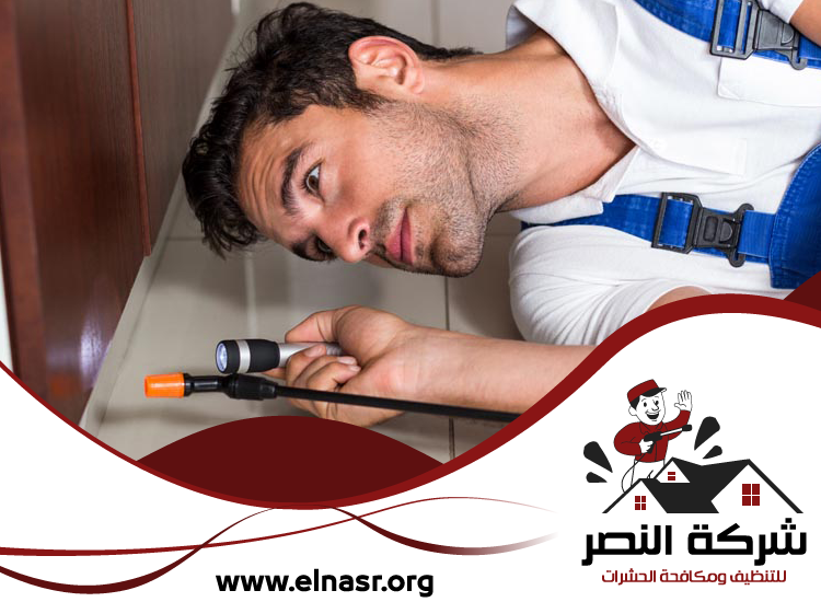 شركة مكافحة الرمة في ابوظبي