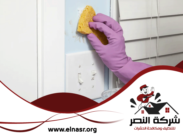 شركة تنظيف في الفصيل