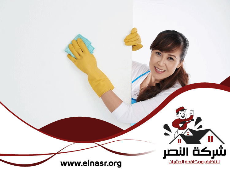 شركة تنظيف في الفصيل