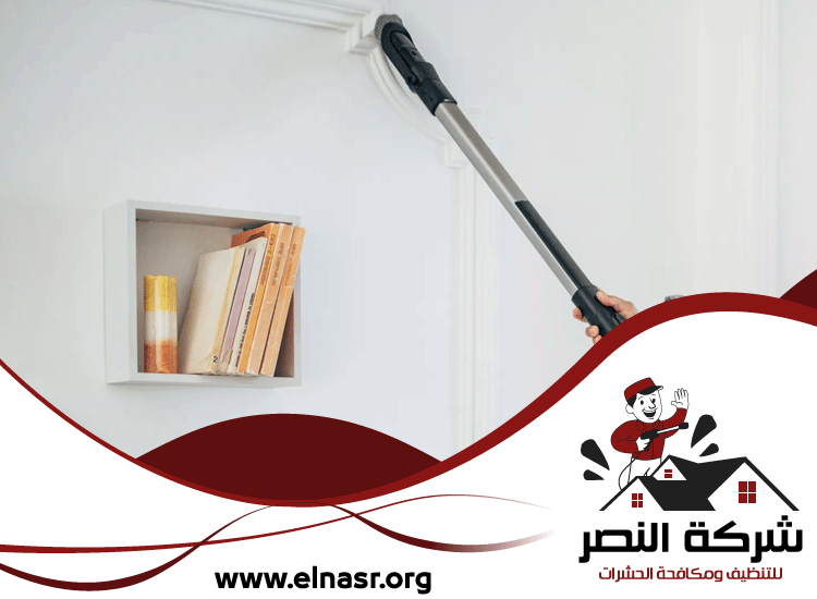 شركة تنظيف في الفصيل