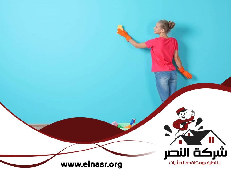 شركة تنظيف الحوائط في ابوظبي