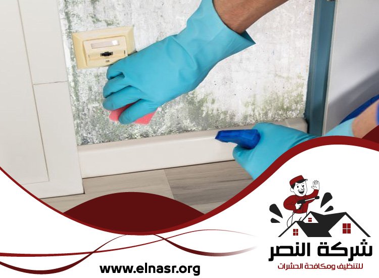 شركة تنظيف الحوائط في ابوظبي