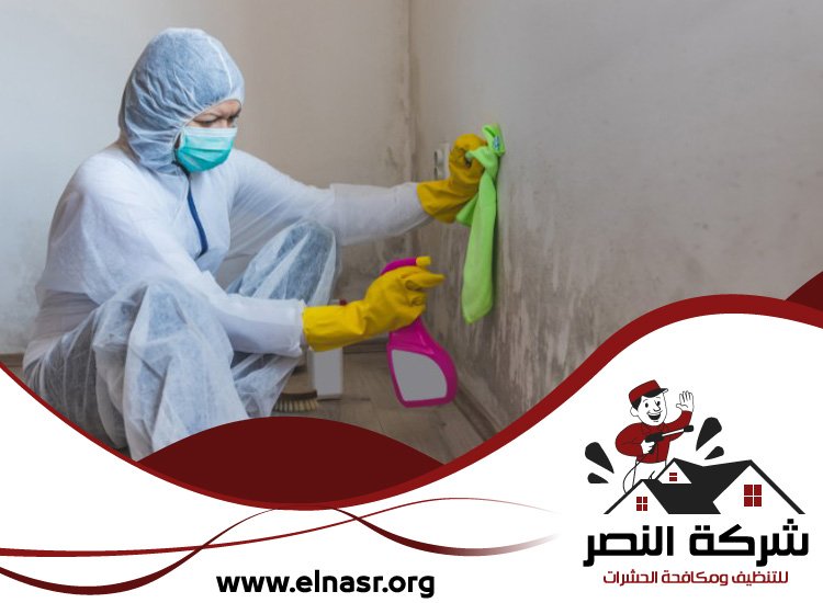 شركة تنظيف الحوائط في ابوظبي