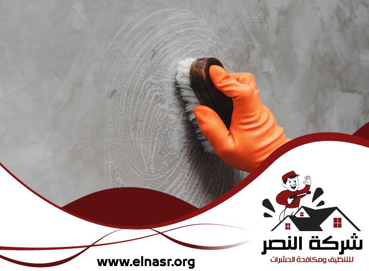 شركة تنظيف الحوائط في ابوظبي
