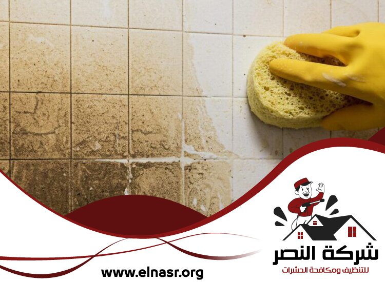 شركة تنظيف الحوائط في الفجيرة 2 شركة تنظيف الحوائط في الفجيرة