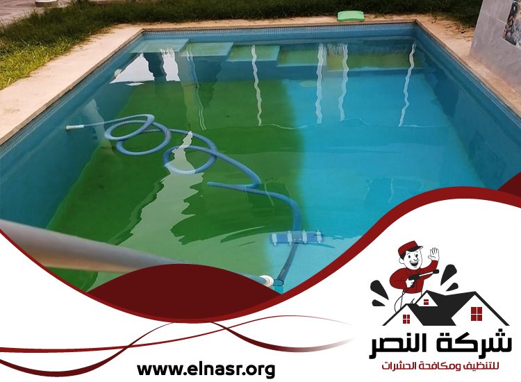 شركة تنظيف مسابح في راس الخيمة