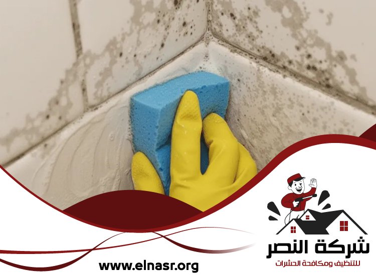 شركة تنظيف الحوائط في ابوظبي 3 شركة تنظيف الحوائط في ابوظبي