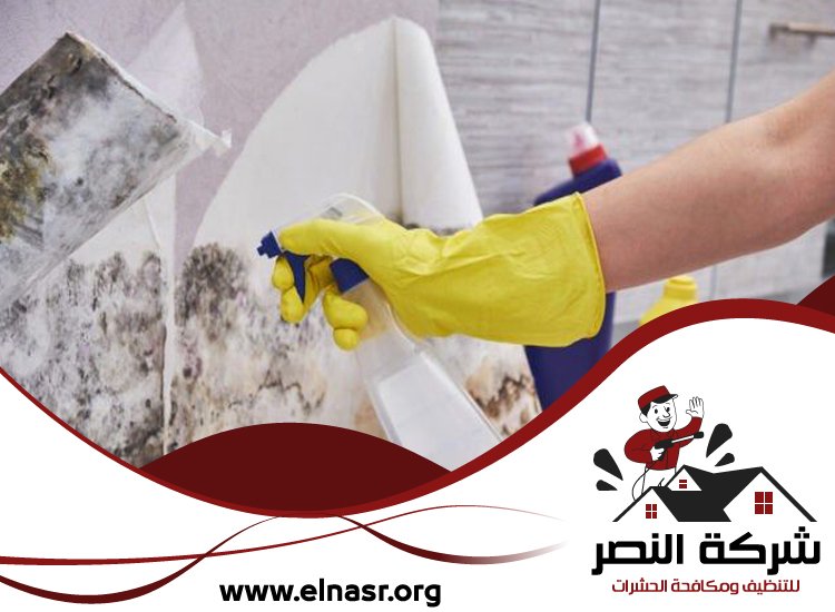 شركة تنظيف الحوائط في الشارقة 3 شركة تنظيف الحوائط في الشارقة