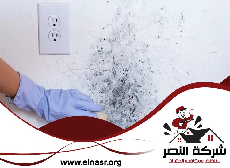 شركة تنظيف الحوائط في الشارقة 4 شركة تنظيف الحوائط في الشارقة