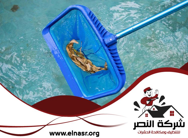 شركة تنظيف مسابح في العين 5 شركة تنظيف مسابح في العين