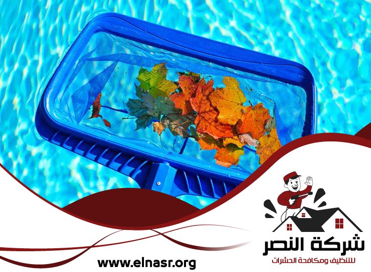 شركة تنظيف مسابح في الفجيرة 5 شركة تنظيف مسابح في الفجيرة