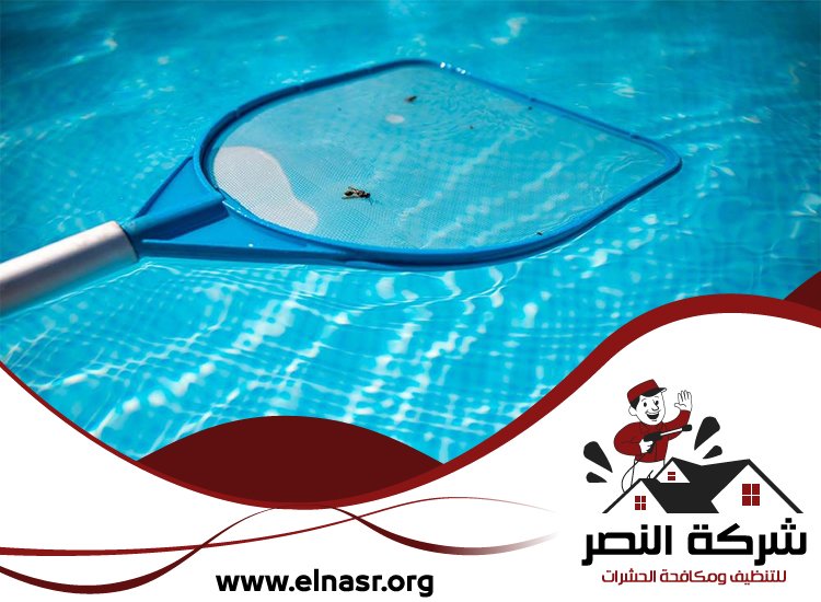 شركة تنظيف مسابح في الفجيرة 4 شركة تنظيف مسابح في الفجيرة