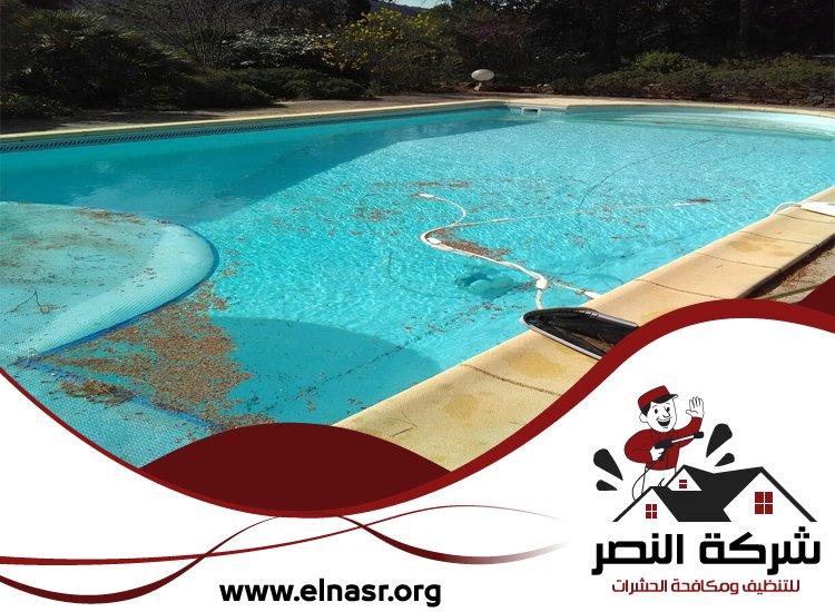 شركة تنظيف مسابح في دبي 5 شركة تنظيف مسابح في دبي