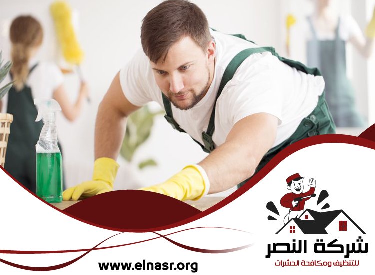 شركة تنظيف في مريشيد