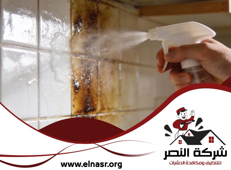 شركة تنظيف مطابخ في العين 5 شركة تنظيف مطابخ في العين