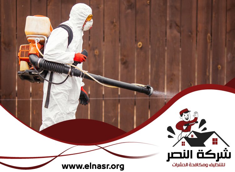 شركة مكافحة الرمة في عجمان 3 شركة مكافحة الرمة في عجمان