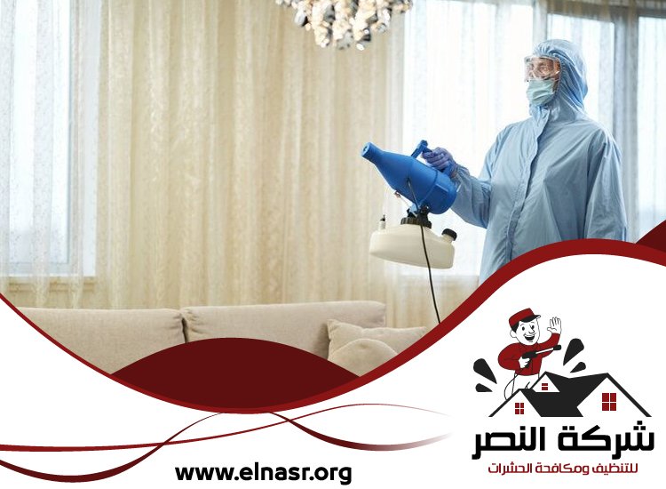 شركة مكافحة الرمة في ابوظبي 3 شركة مكافحة الرمة في ابوظبي