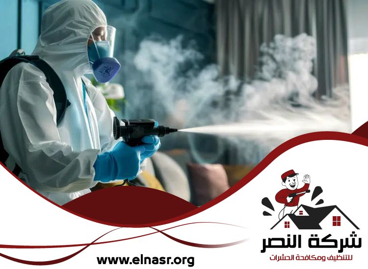 شركة مكافحة الرمة في ابوظبي 4 شركة مكافحة الرمة في ابوظبي