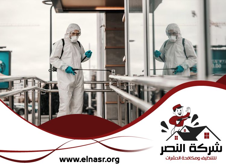 شركة مكافحة الرمة في الفجيرة 3 شركة مكافحة الرمة في الفجيرة