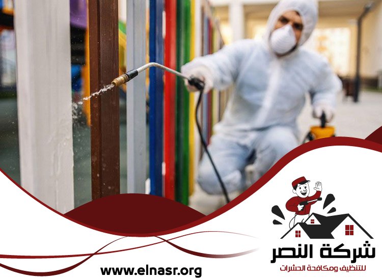 شركة مكافحة الرمة في الفجيرة 4 شركة مكافحة الرمة في الفجيرة