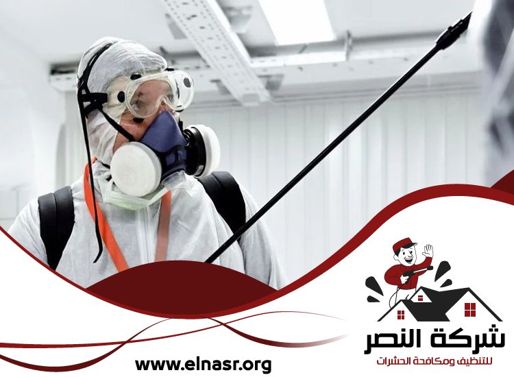 شركة مكافحة الرمة في الفجيرة 5 شركة مكافحة الرمة في الفجيرة