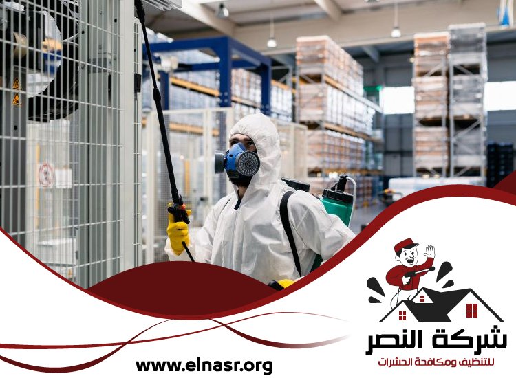 شركة مكافحة الرمة في الشارقة 3 شركة مكافحة الرمة في الشارقة