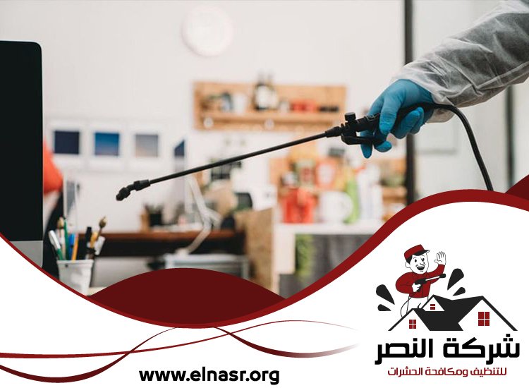 شركة مكافحة الرمة في دبي 3 شركة مكافحة الرمة في دبي
