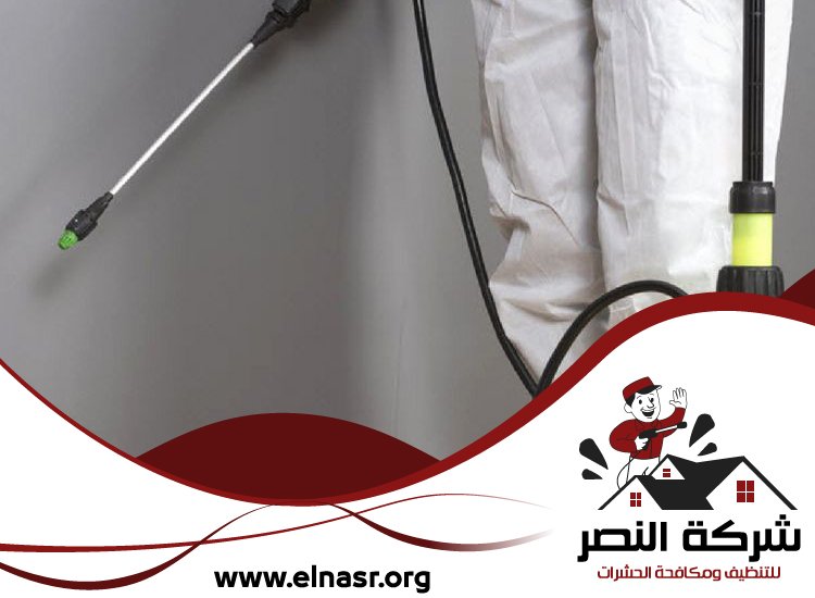 شركة مكافحة الرمة في الشارقة 4 شركة مكافحة الرمة في الشارقة
