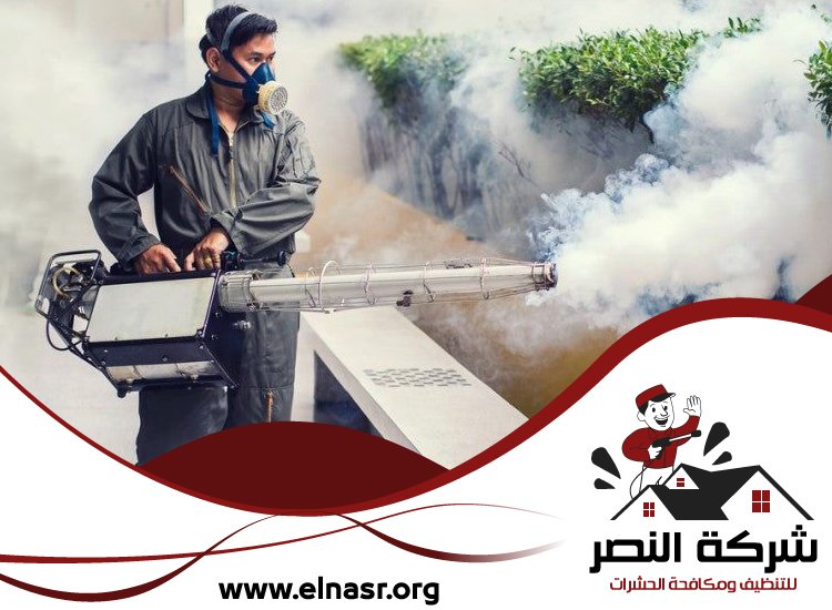 شركة مكافحة الرمة في دبي 5 شركة مكافحة الرمة في دبي