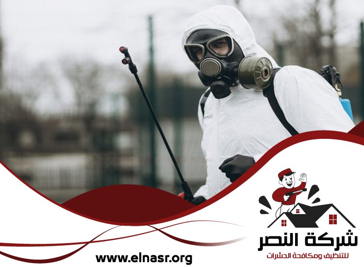 شركة مكافحة حشرات في الفجيرة 5 شركة مكافحة حشرات في الفجيرة