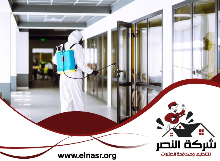 شركة مكافحة حشرات في الفجيرة 3 شركة مكافحة حشرات في الفجيرة