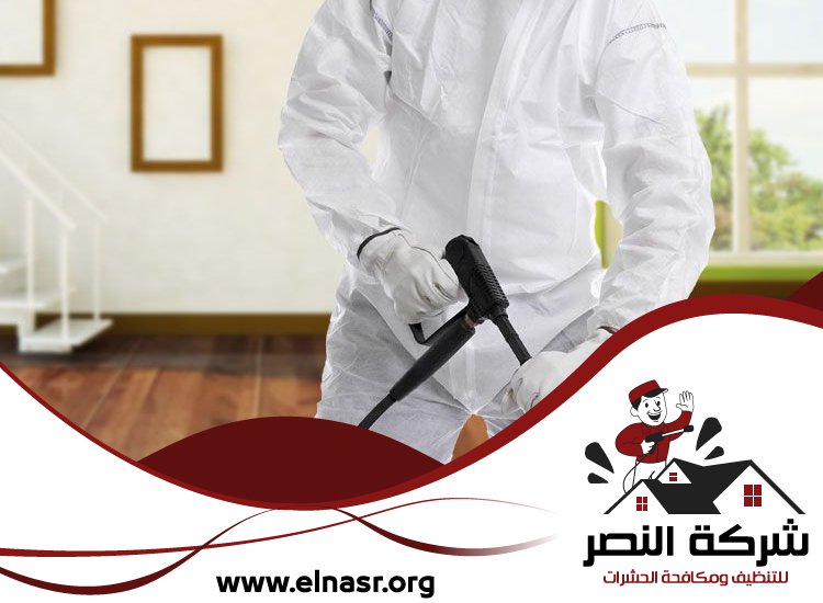 شركة تعقيم في الفجيرة 5 شركة تعقيم في الفجيرة