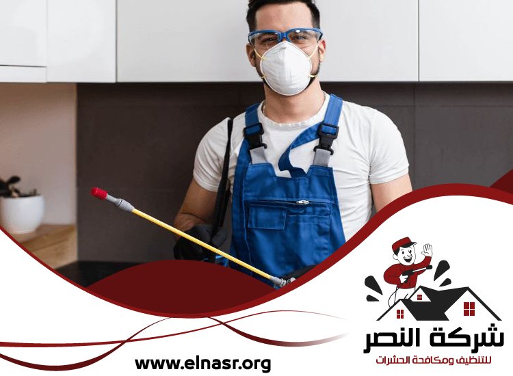 شركة تعقيم في الفجيرة 4 شركة تعقيم في الفجيرة