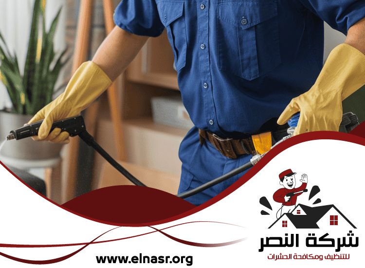 شركة تعقيم في الفجيرة 3 شركة تعقيم في الفجيرة