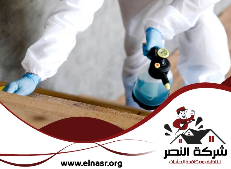شركة تعقيم في راس الخيمة 5 شركة تعقيم في راس الخيمة