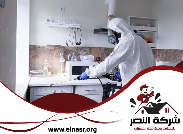 شركة تعقيم في عجمان 4 شركة تعقيم في عجمان