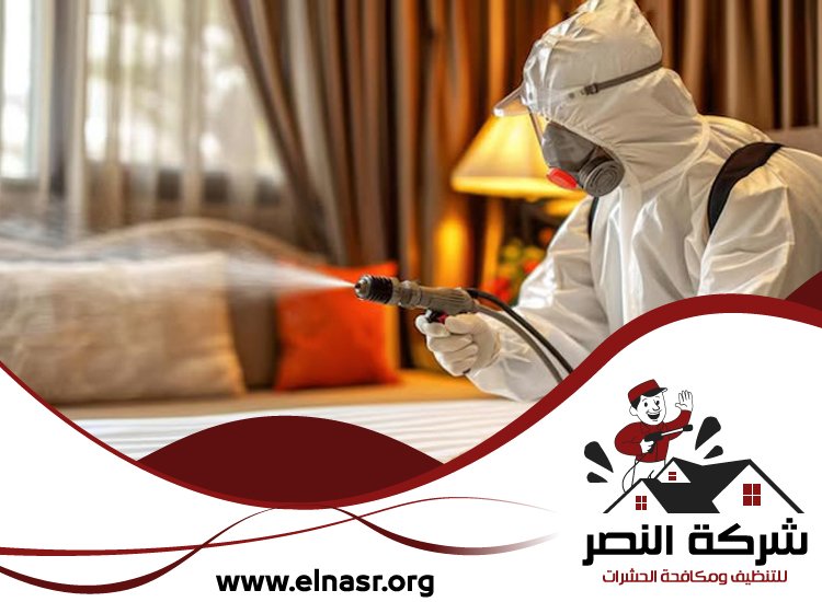 شركة تعقيم في عجمان 3 شركة تعقيم في عجمان