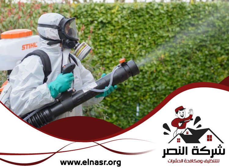 شركة تعقيم في الشارقة 5 شركة تعقيم في الشارقة
