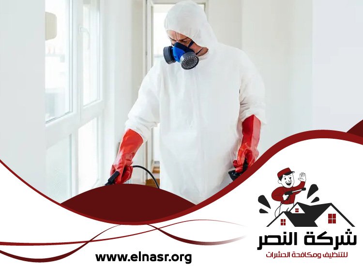 شركة تعقيم في عجمان