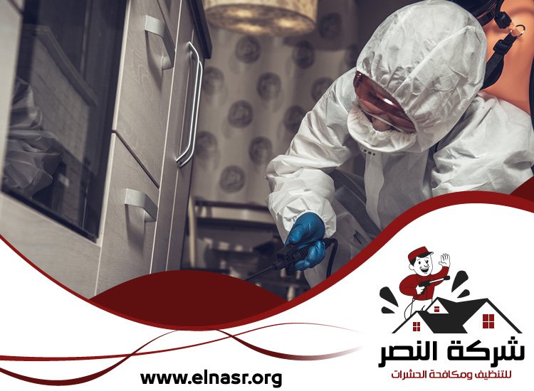 شركة تعقيم في الشارقة