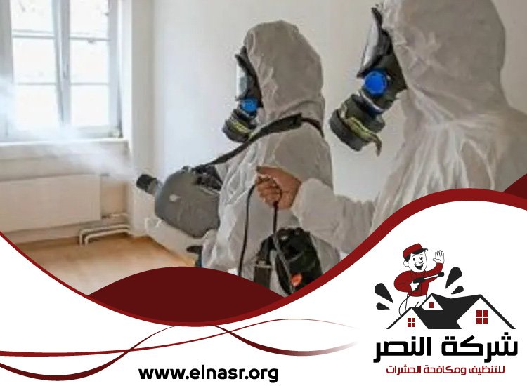شركة تعقيم في راس الخيمة