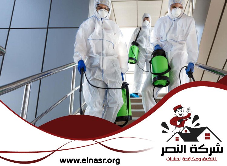 شركة تعقيم في الفجيرة