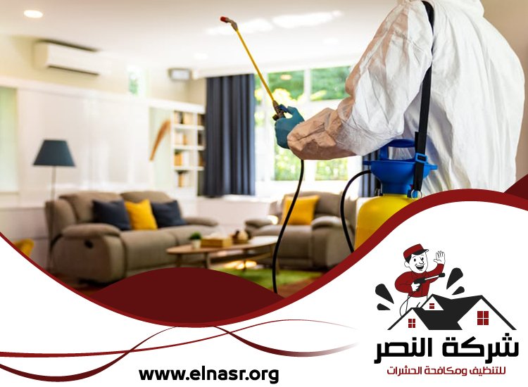 شركة مكافحة الرمة في الشارقة 5 شركة مكافحة الرمة في الشارقة