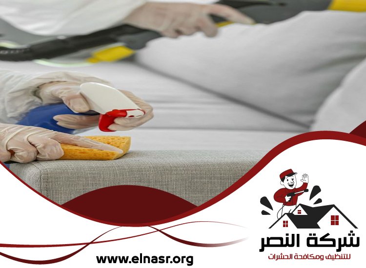 شركة تنظيف مجالس في ابوظبي