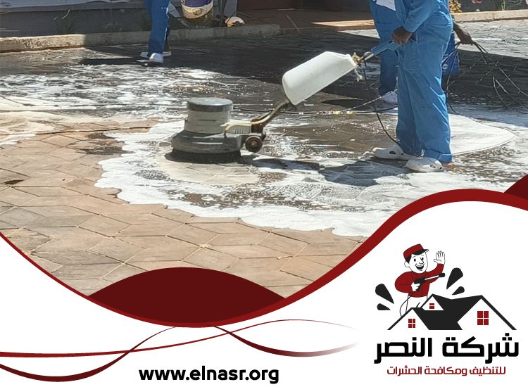 شركة تنظيف احواش في الشارقة