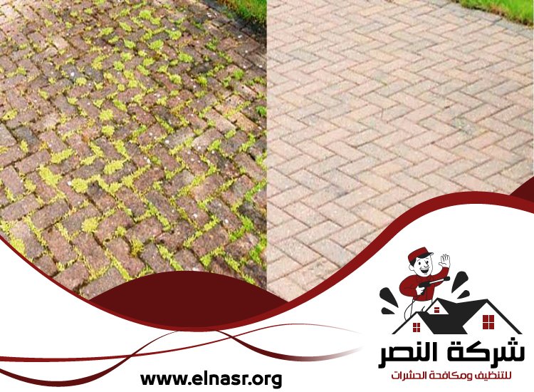 شركة تنظيف احواش في عجمان 5 شركة تنظيف احواش في عجمان