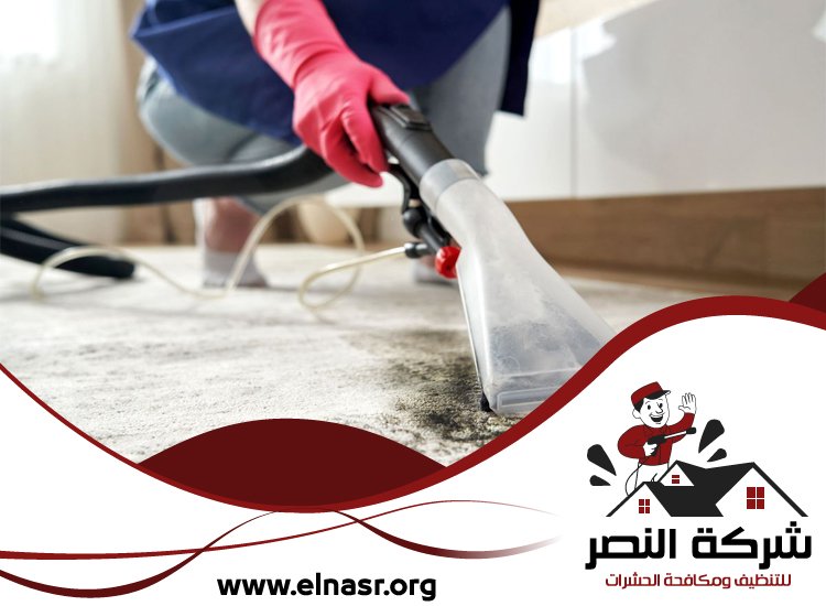 شركة تنظيف سجاد في عجمان 3 شركة تنظيف سجاد في عجمان