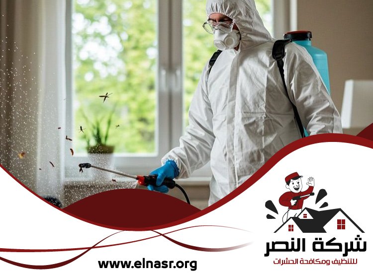 شركة مكافحة حشرات في ابوظبي 3 شركة مكافحة حشرات في ابوظبي